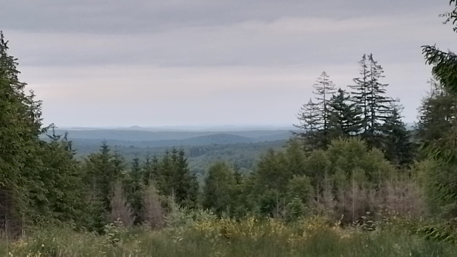 8f23bae3-d2ea-4985-a31e-7f95ed5a0409