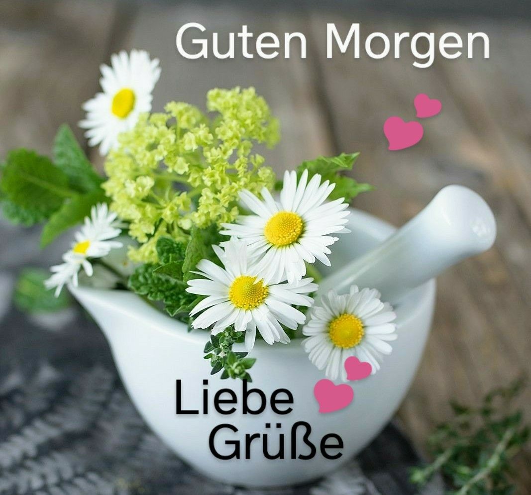 8ffa7d91-773f-4c18-ab95-1928100652b0