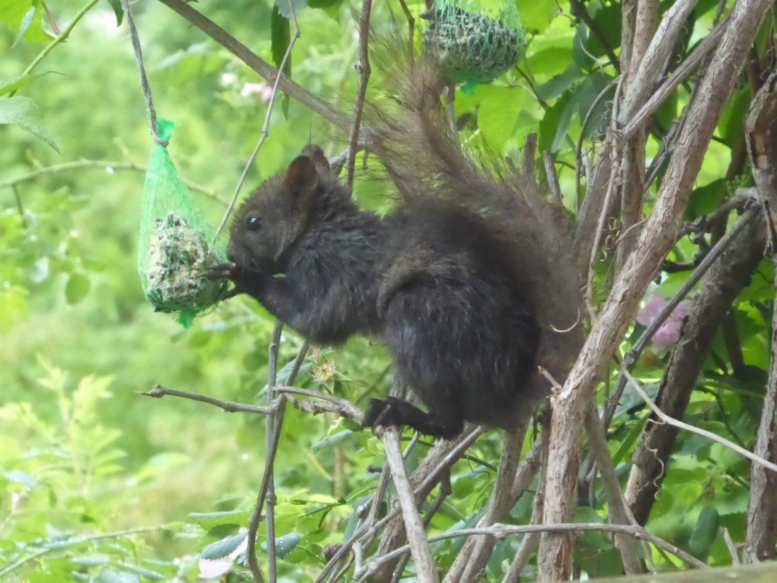 9.6.2022 Donnerstag (1)