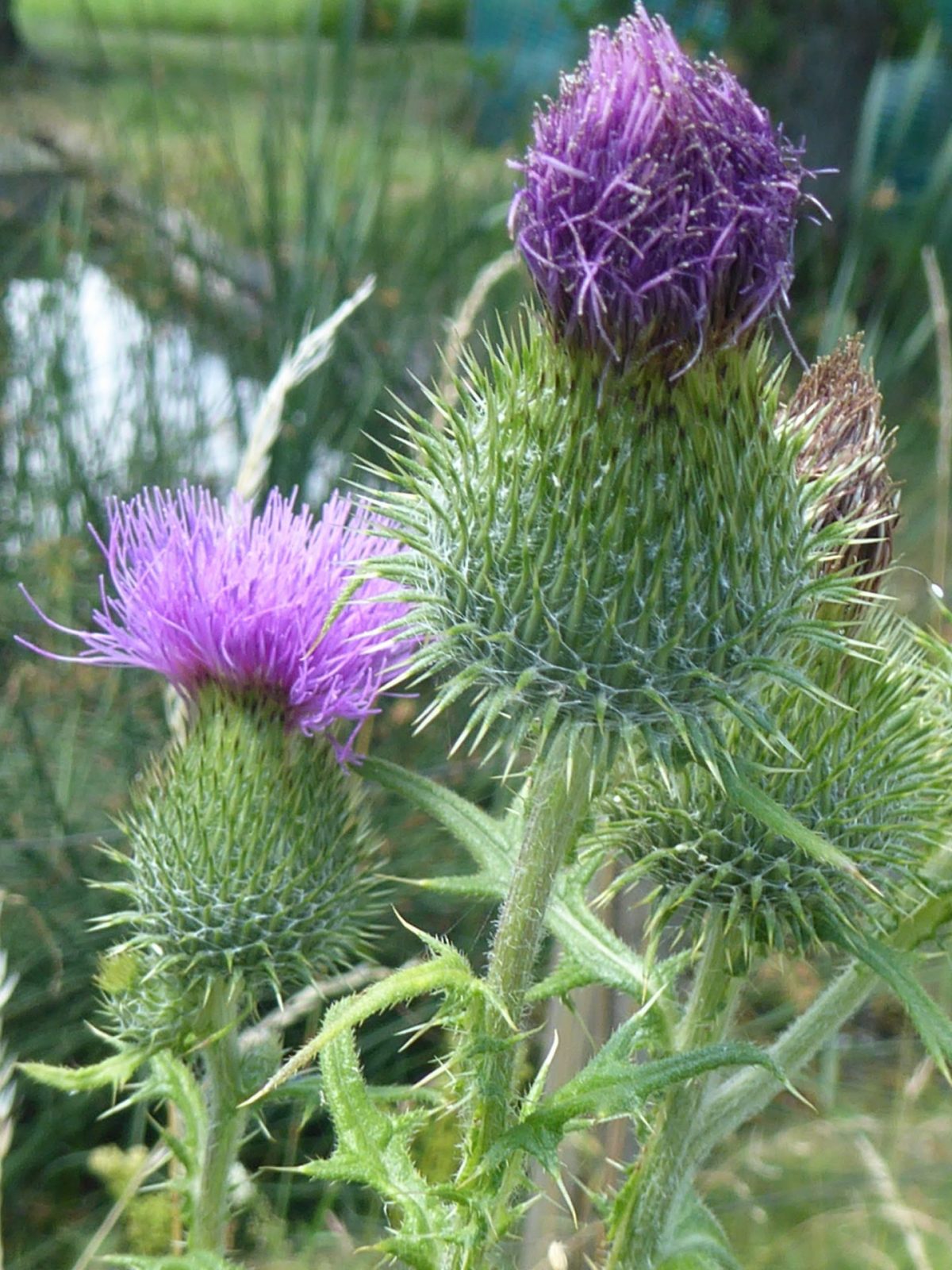 9.7.2022 Fitness (38)