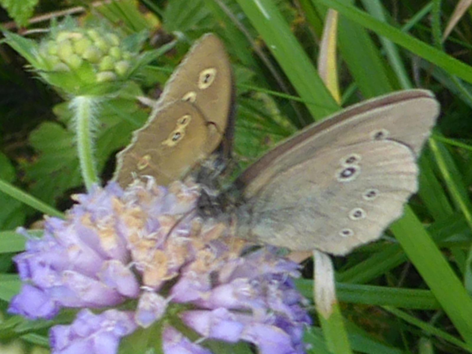 9.7.2022 Fitness (56)