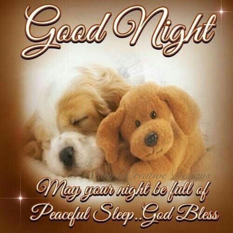 90056470_2572783232959478_3577673513793748992_n