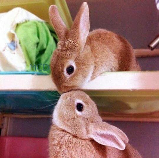 90069850_2573949799509488_5910845060609474560_n