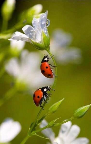 90076788_2573944589510009_3568690529564622848_n