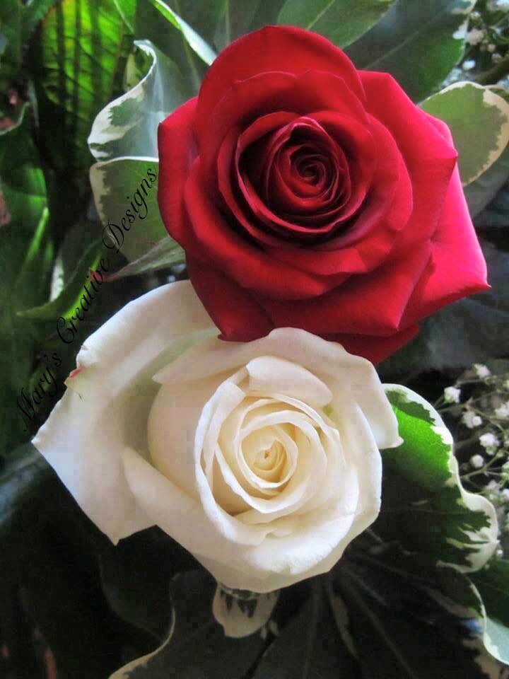 90079405_2571913863046415_5292671139250700288_n