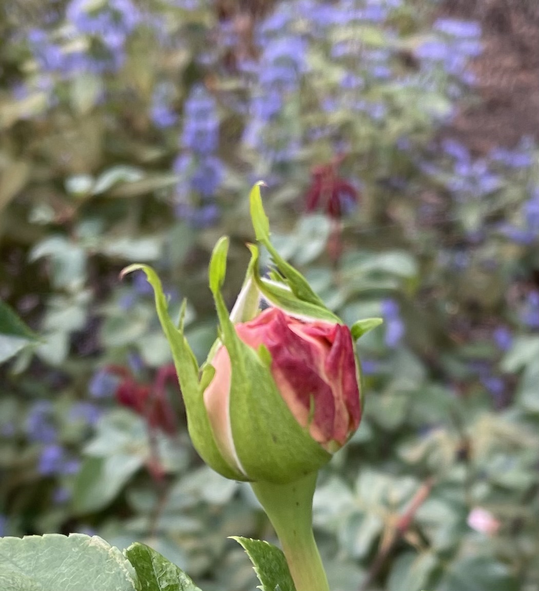 90192564-E1CD-42E1-AF22-24216F2180B7