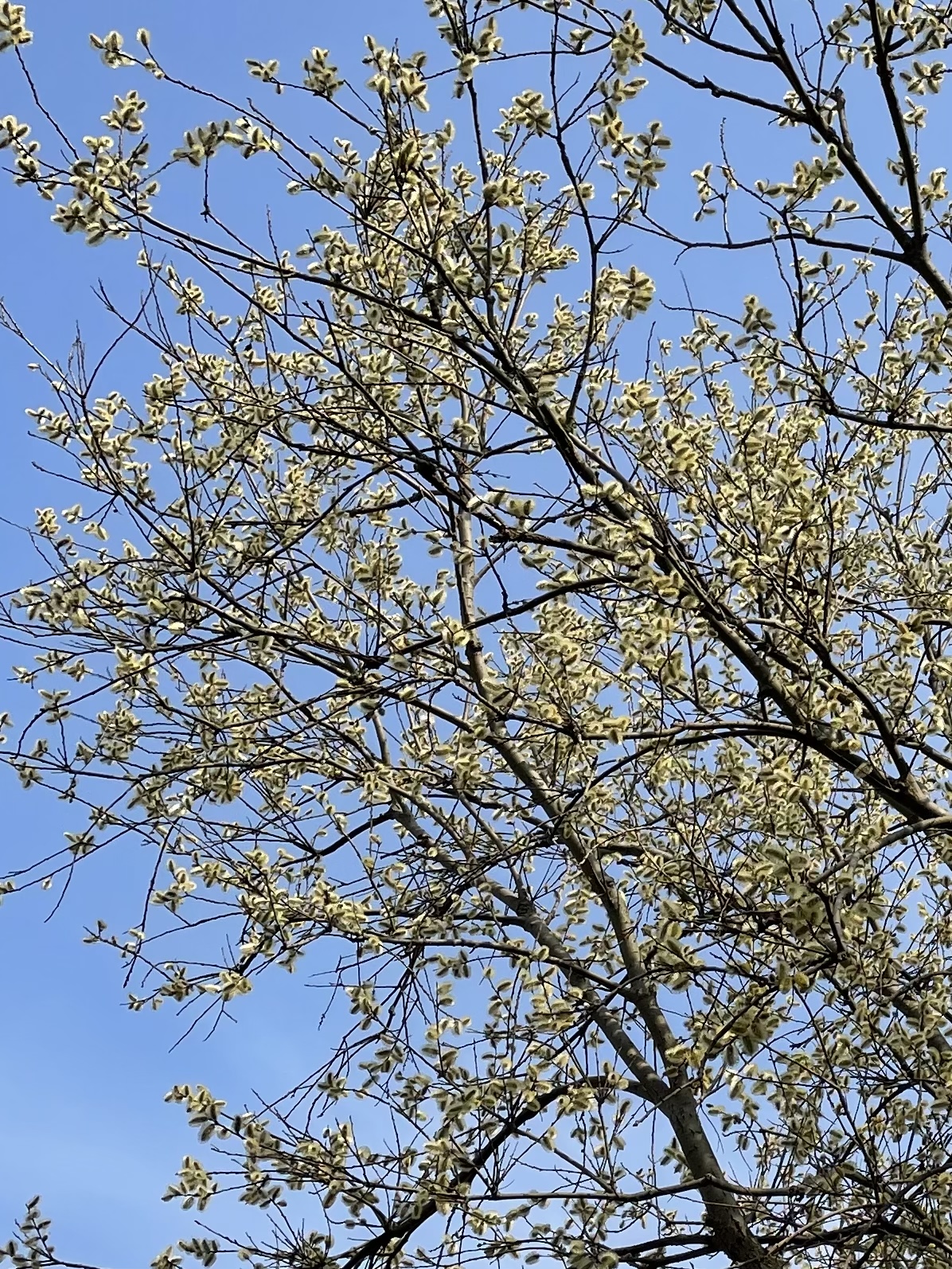 9023833A-723A-4CD7-8BD2-B08823E39746