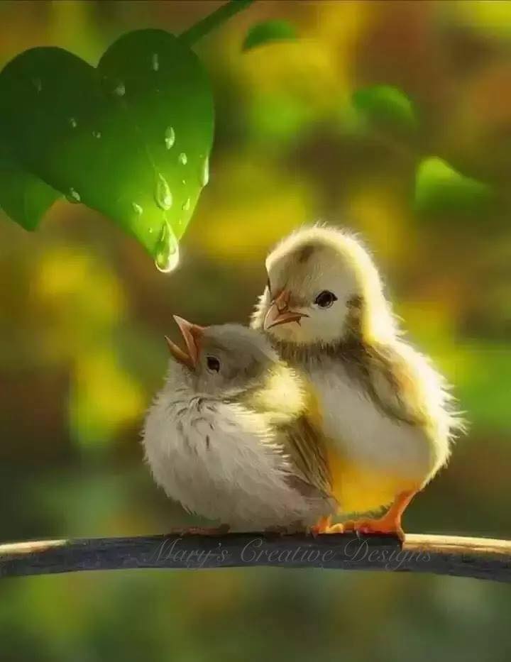 90254649_2572784479626020_5833800622993833984_n