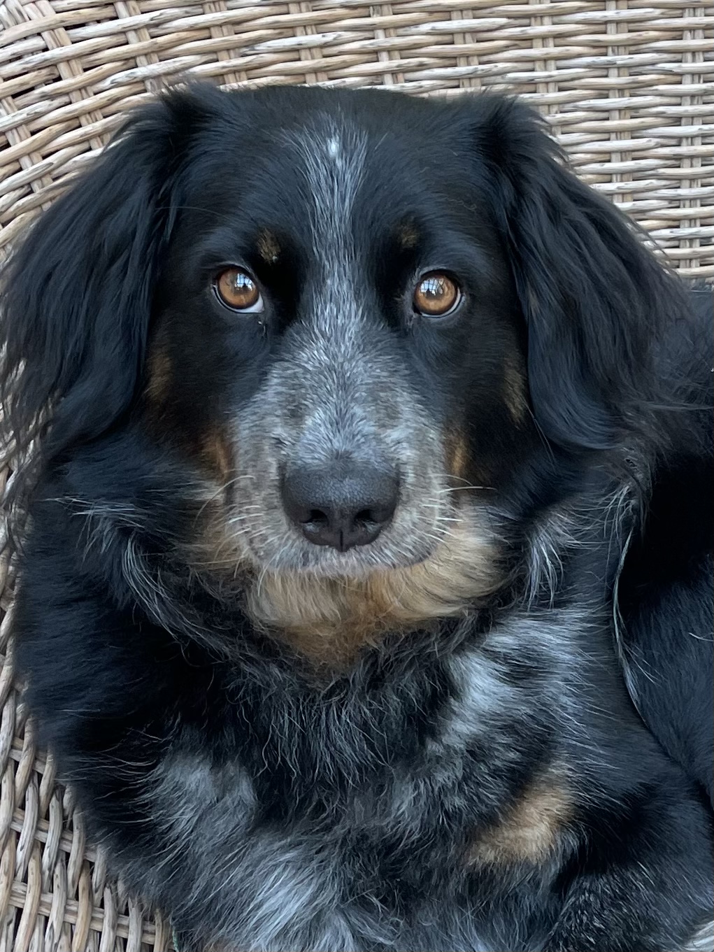 90CD7C14-3A2B-47DC-B71D-616A99F3C801