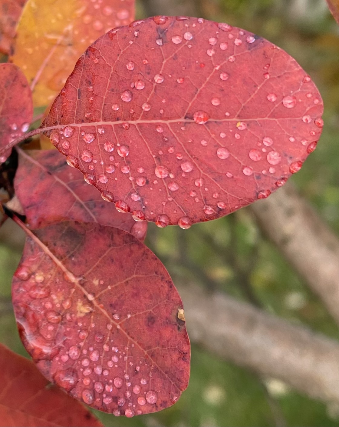 90D84757-08DA-4C4D-866C-B1FDDCF2FDF5