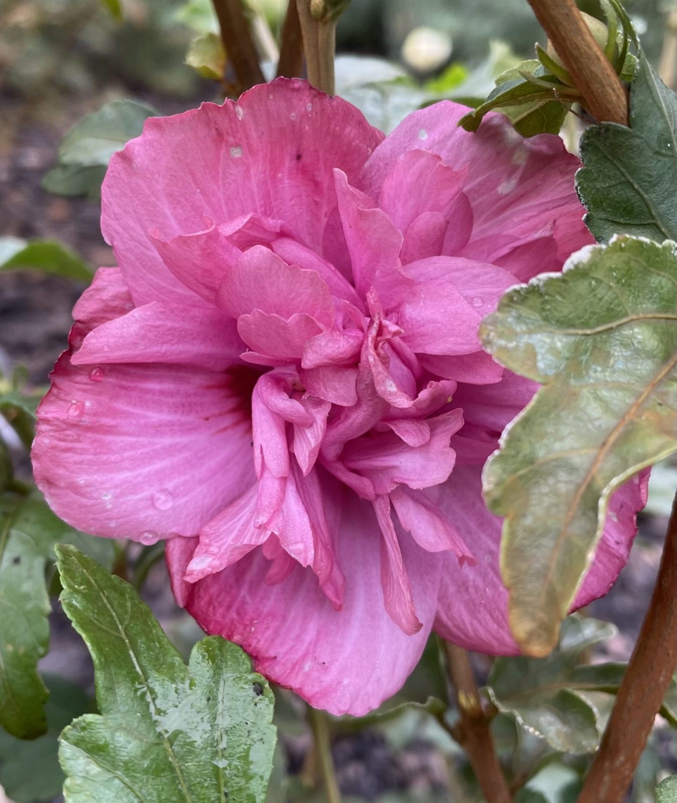 90F45DCF-DCC7-4B69-9296-D871683511CE