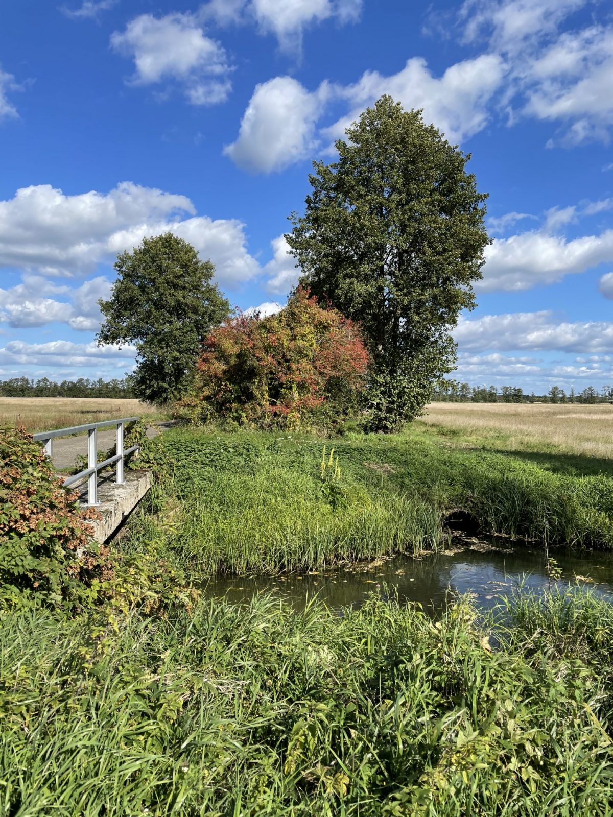 911DCD5C-3ECA-4C89-8C9A-A547C828890D