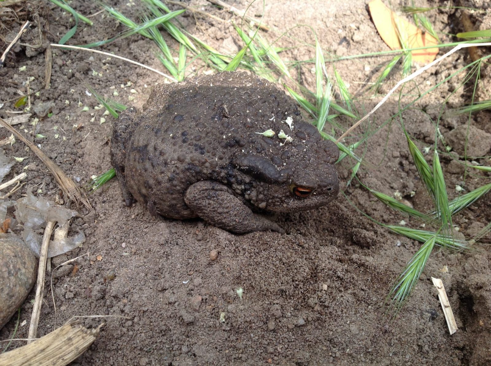 913E7440-4DD2-4CA3-9DDC-EB985CDFB236