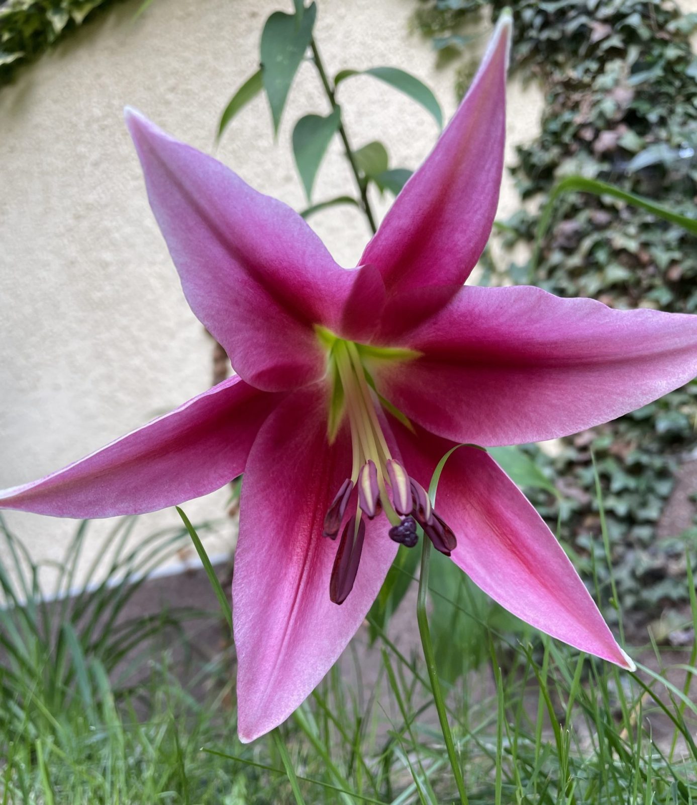 9149B750-1AD8-4651-AF25-EF7F0C9B91A0