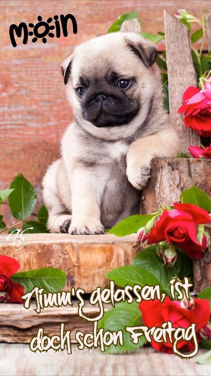 9173cff5-667a-466b-aa40-60db9e90bffb