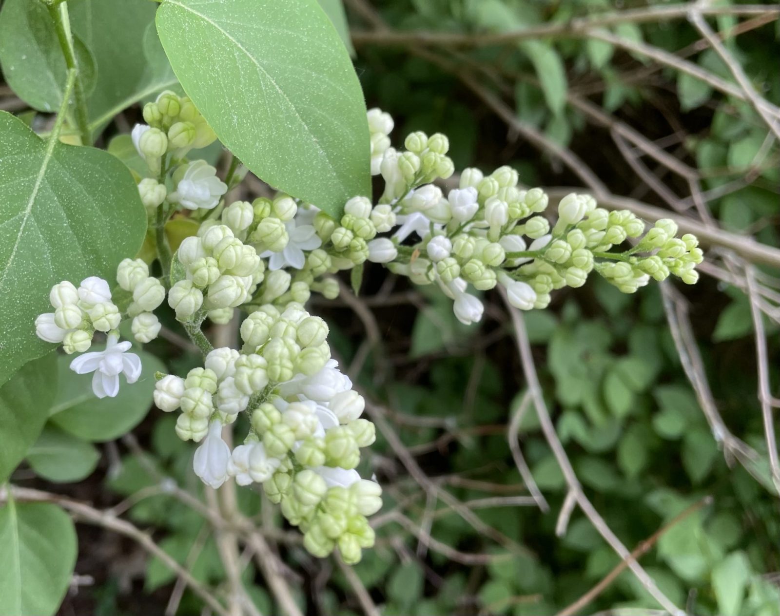 91F8E415-2994-4958-A856-B21A239B4D60