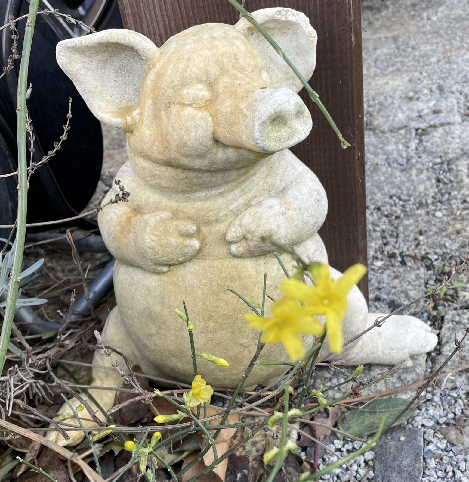 92745D31-D2A5-4E15-B0FA-1DA6A432654A