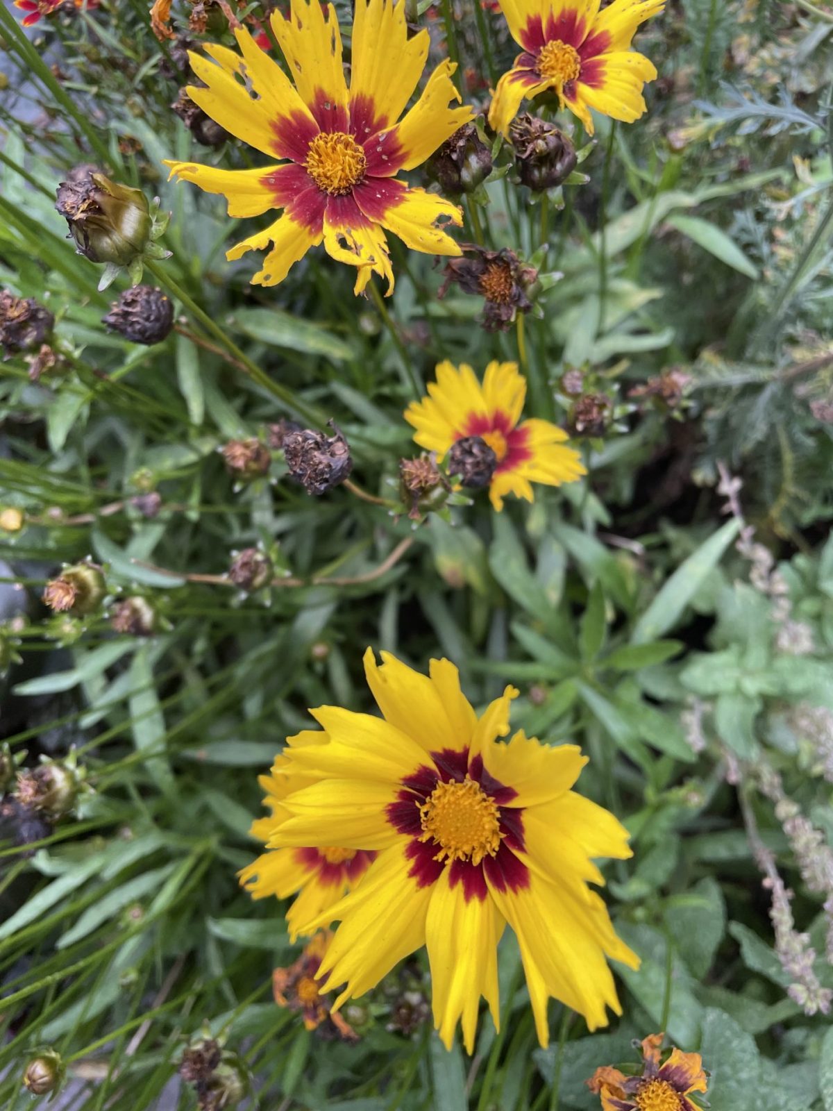 92D50B37-0115-491F-9308-ECADC8946787