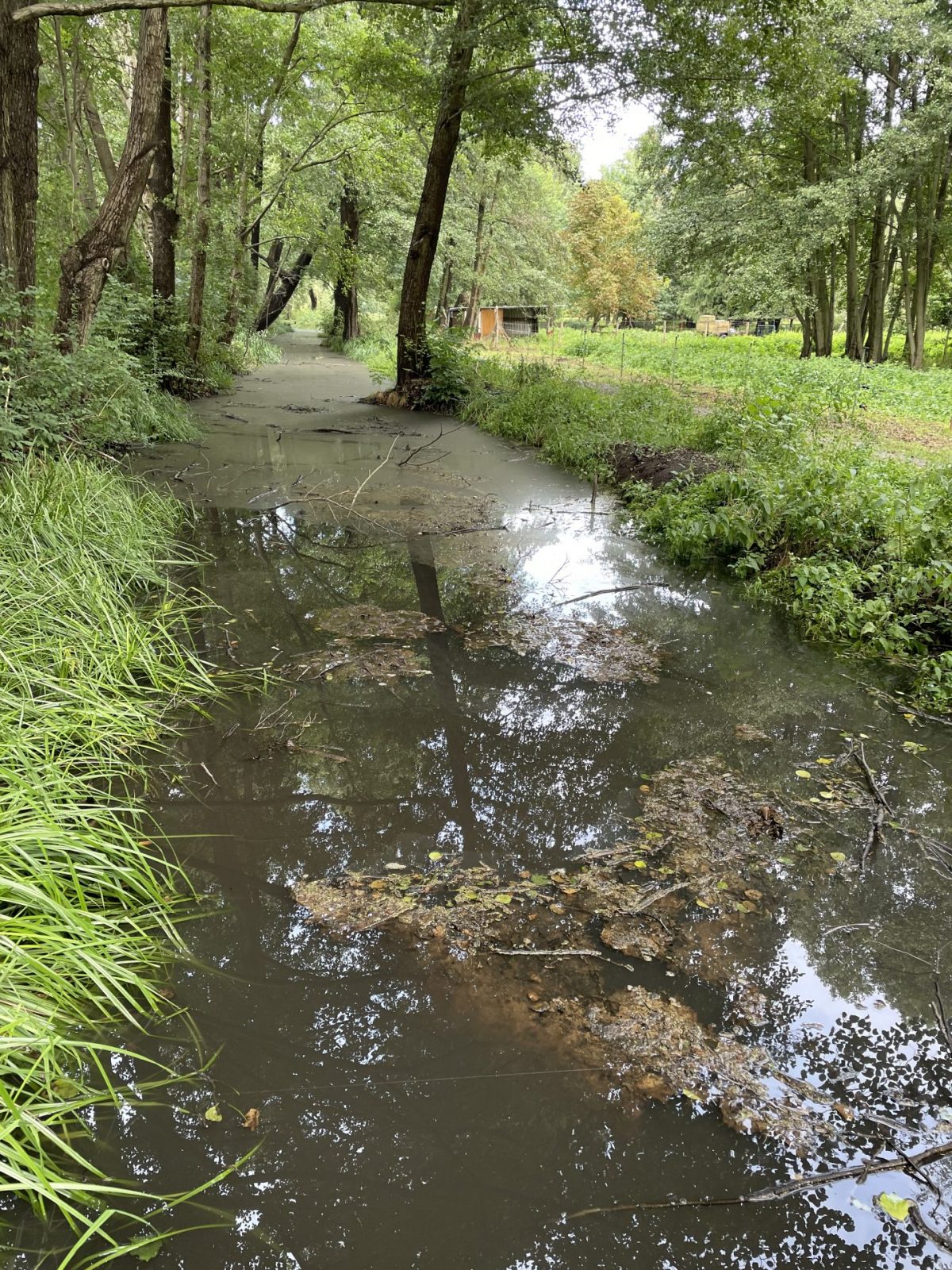 92D965D7-3F0A-40A4-8B41-E1C6372029E8