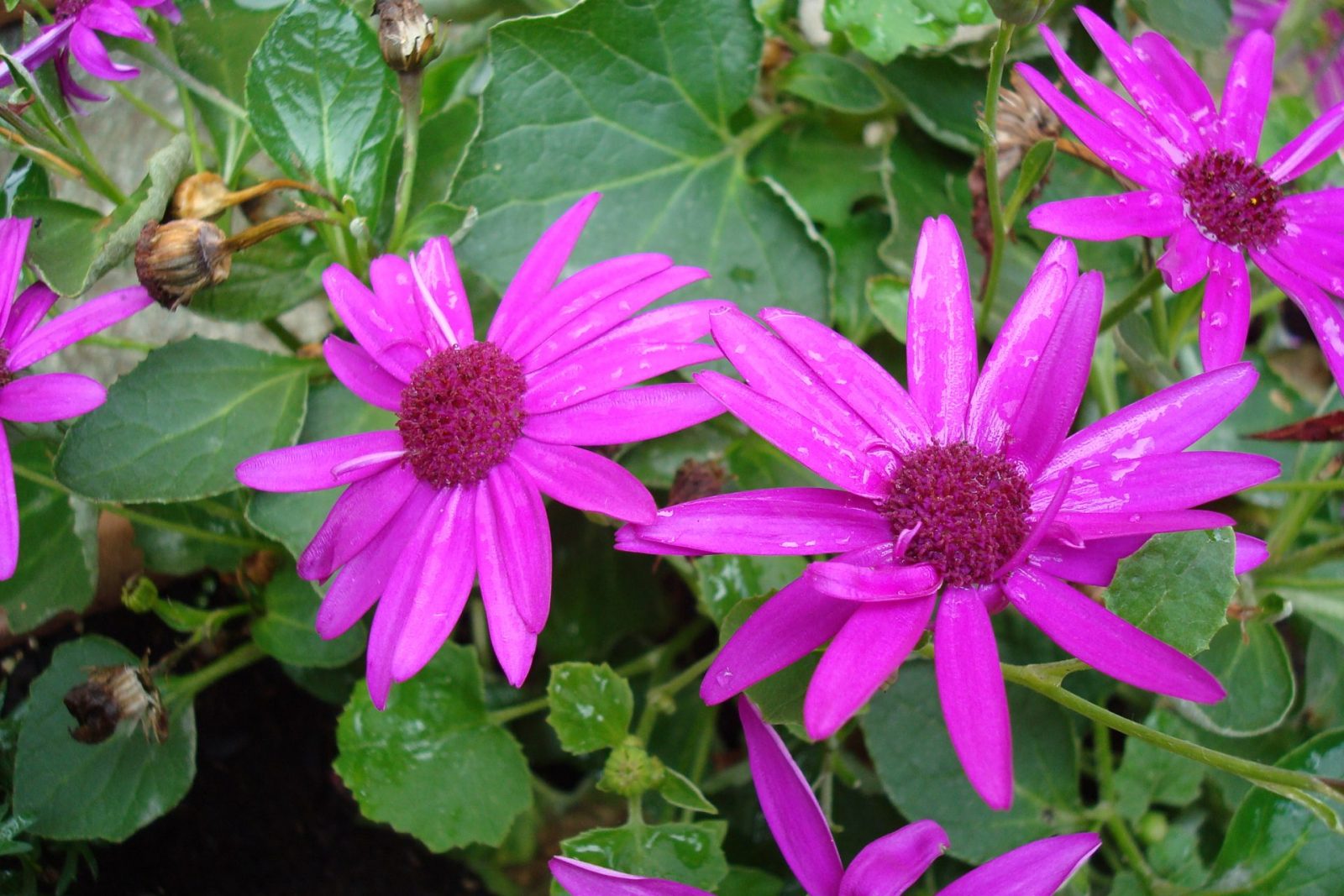 9309FAB4-B732-4754-91BA-82324F619B67