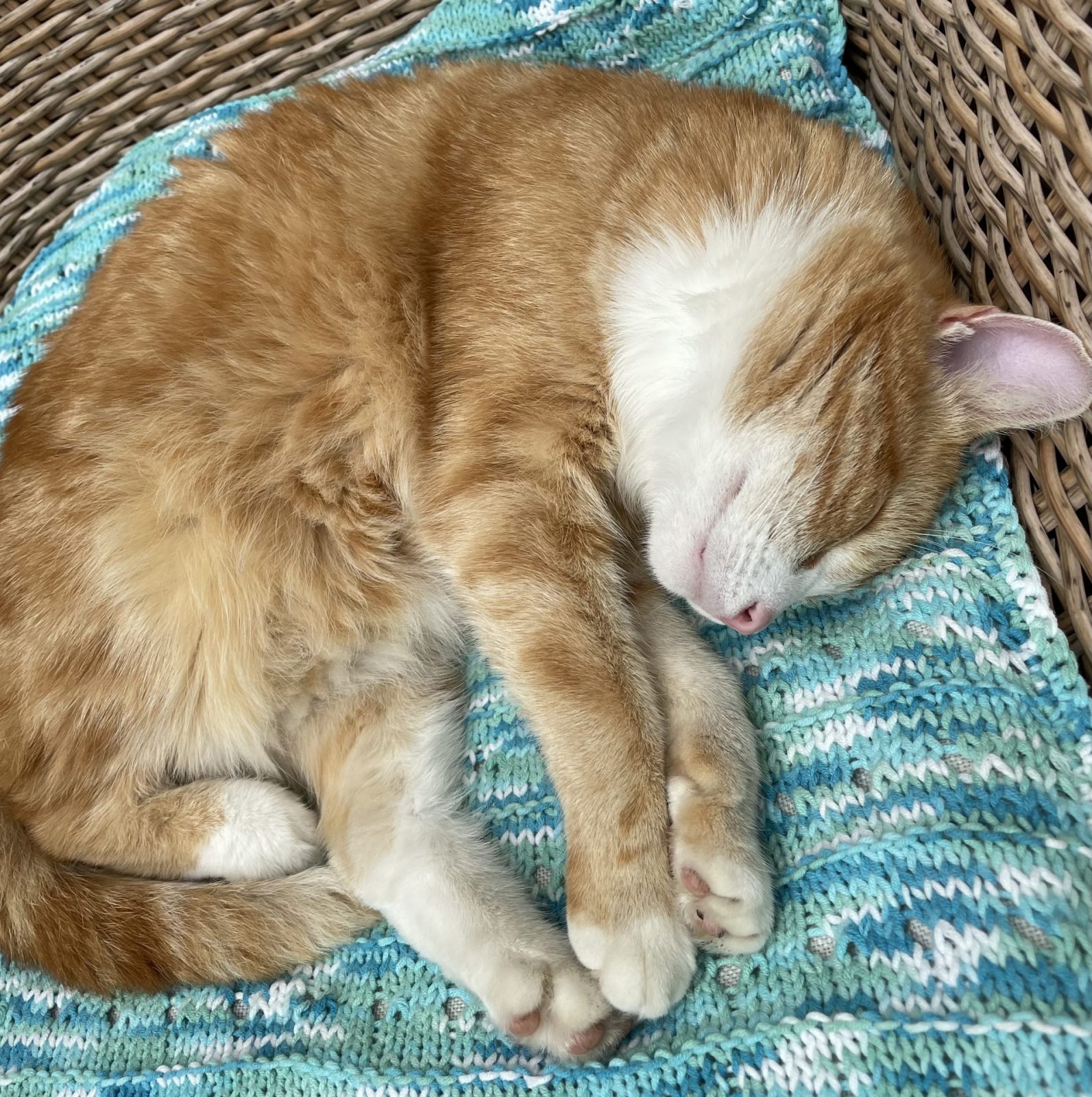 9315AD93-6404-492D-A1BD-C74738FC212E