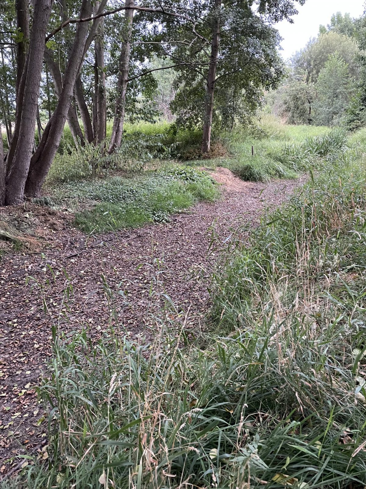 932AA4A1-5BA2-4FD2-AB5A-CAEE6B22D3F3