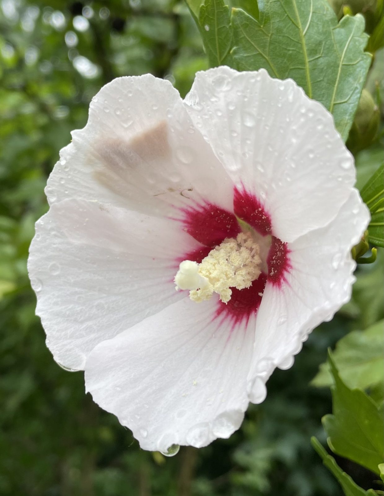 9339CF9A-4C77-4B7D-B65D-57C0BD007425