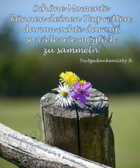 93543d540cf18b1b86e792e5bc879a5b