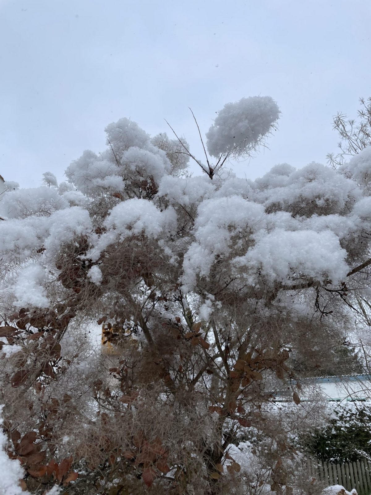 935F33C4-D36E-4E51-8425-7850154C1669