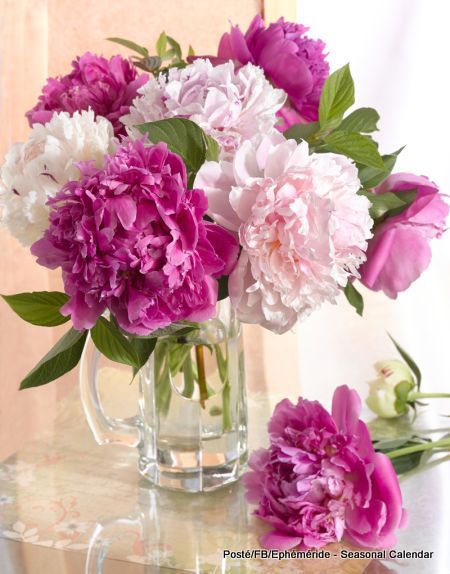 93763493_3112859045430837_2601022238723407872_n