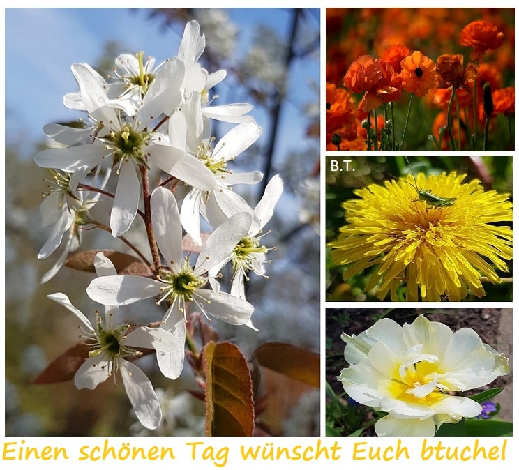 93874102_3306206999436809_8851349485868023808_n