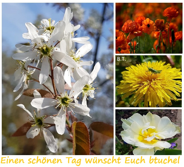 93874102_3306206999436809_8851349485868023808_n