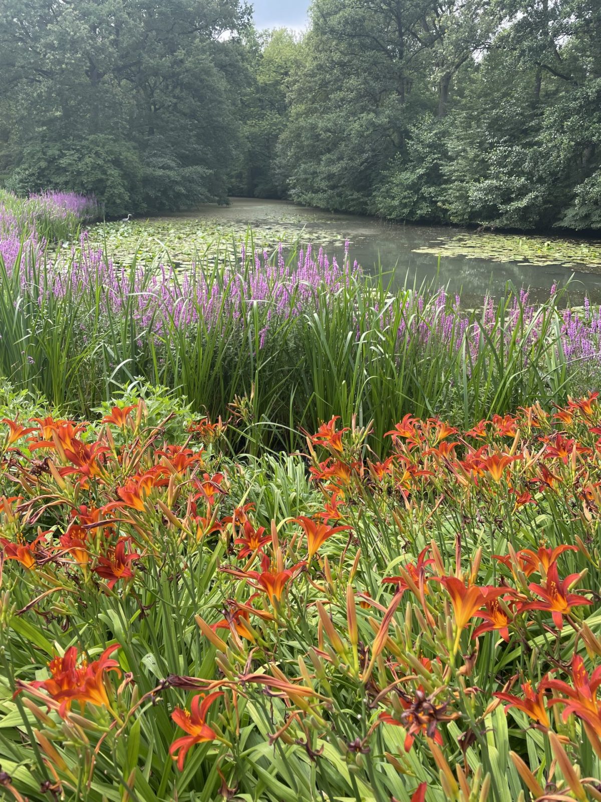 938AA240-C5AB-42FD-A20F-6234E0F87B60