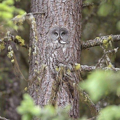 93959426_2962681550484925_7827109492121665536_n