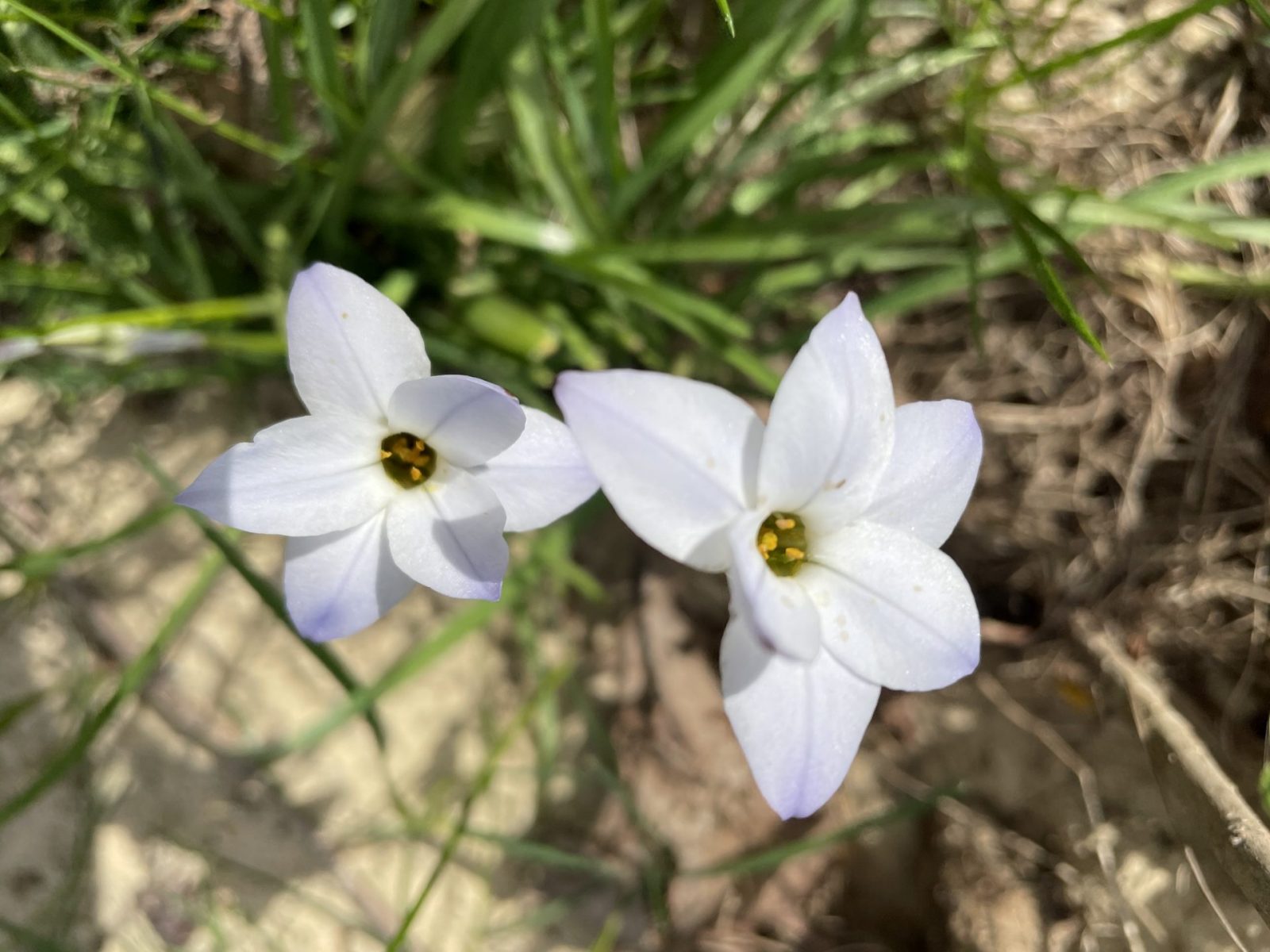 93B70E43-5170-41F4-AEAD-63A392684819