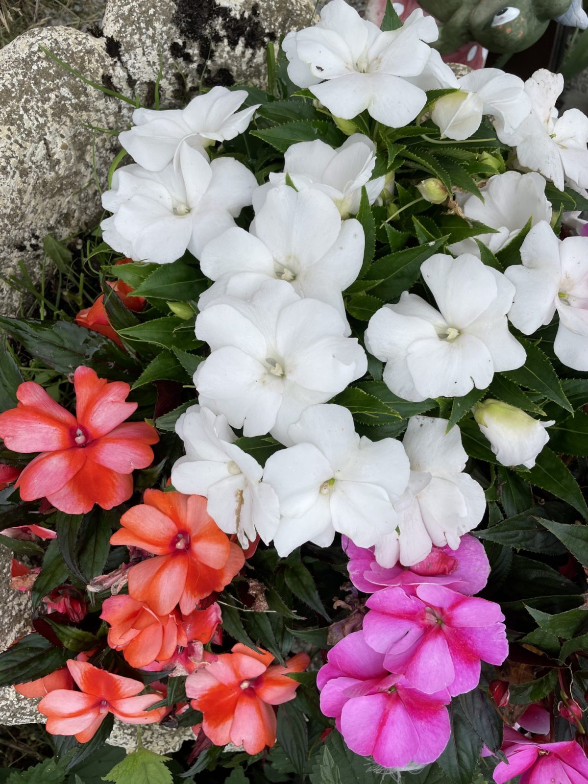 93BCE2DF-E4D5-4729-BD2A-54D092C1E64F