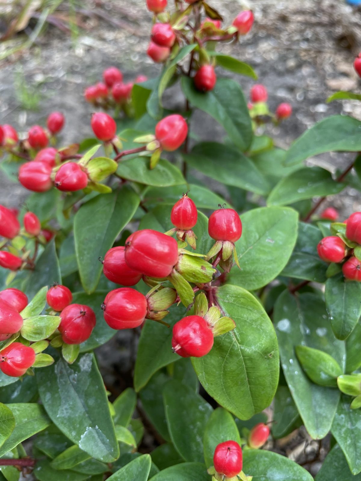 93E18131-EA01-42A3-9FDA-4D5B81AD2236