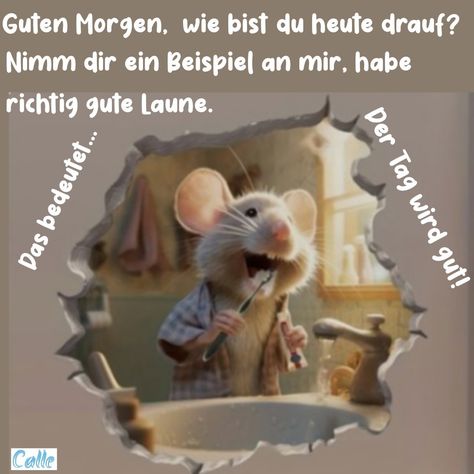 93a2e2847022f90fbbc5a643da430392