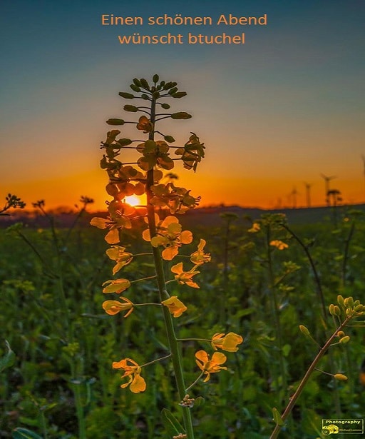 94270781_2923031074441822_2567221155341533184_o