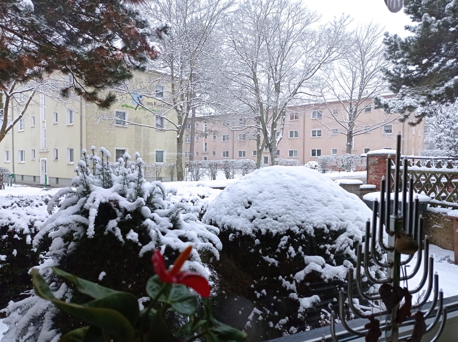 9427c004-b0b5-4a20-b02e-dae94f3fceb1