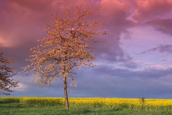 94397047_769725396767491_6021925859915464704_o