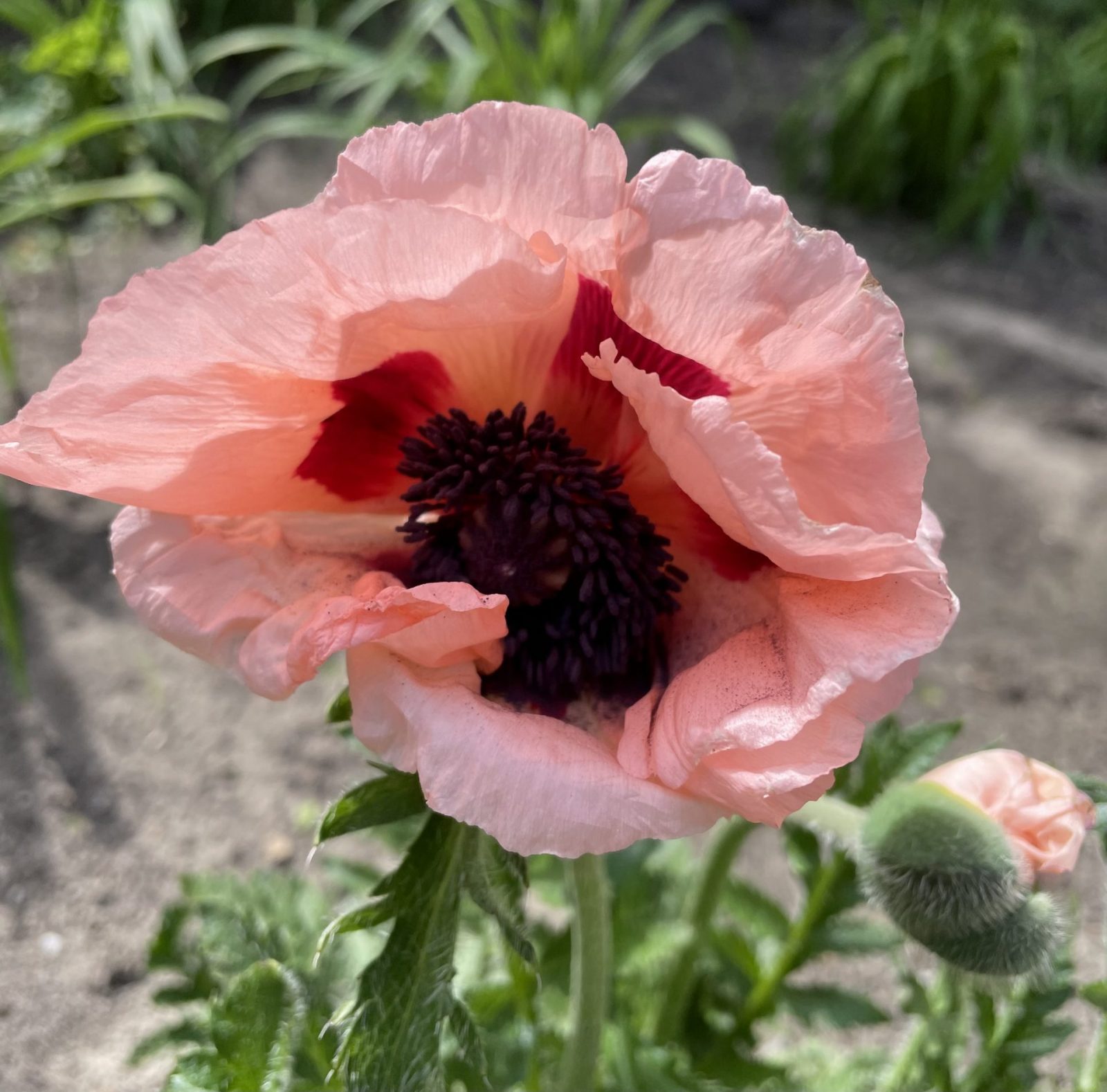 943BE01A-08BA-43C8-B334-BAA5D69A0F43