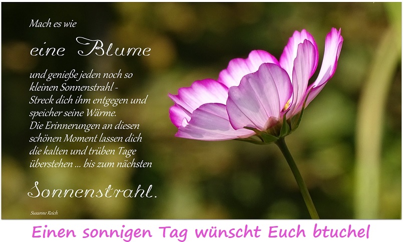 94615427_2957102474368507_5113842170062700544_o