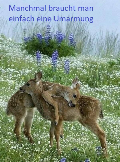 94639740_2962730693813344_7969803638728032256_n