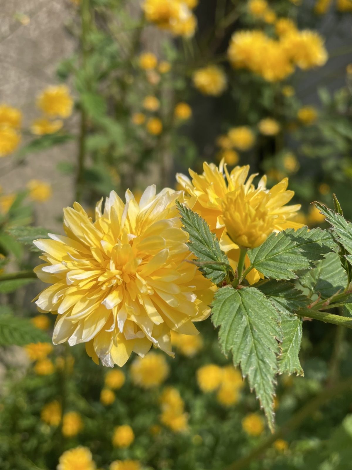 94D16417-6B93-4FB9-A1A8-23AA3875B52D