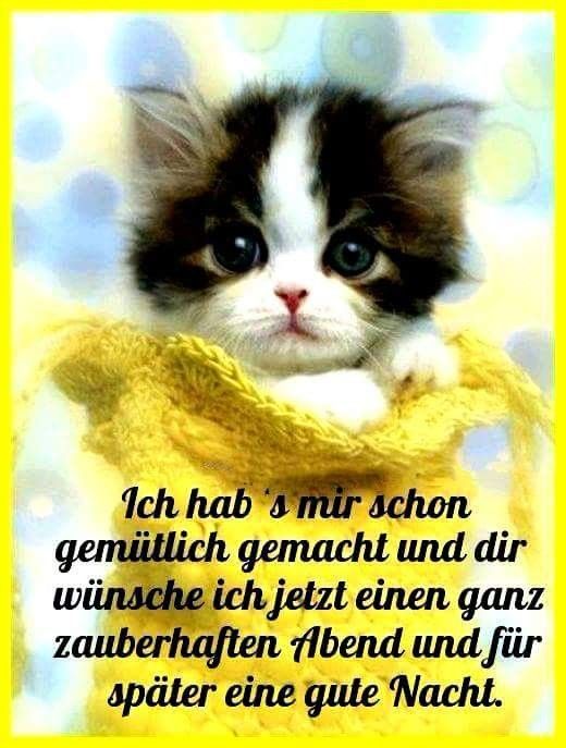 94a4cd5cfb9ca4ae24718200b1a81cf6