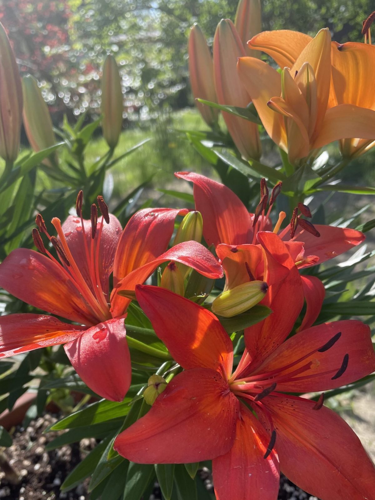 9505D893-4177-4CBD-A8F7-3C1419C2D136