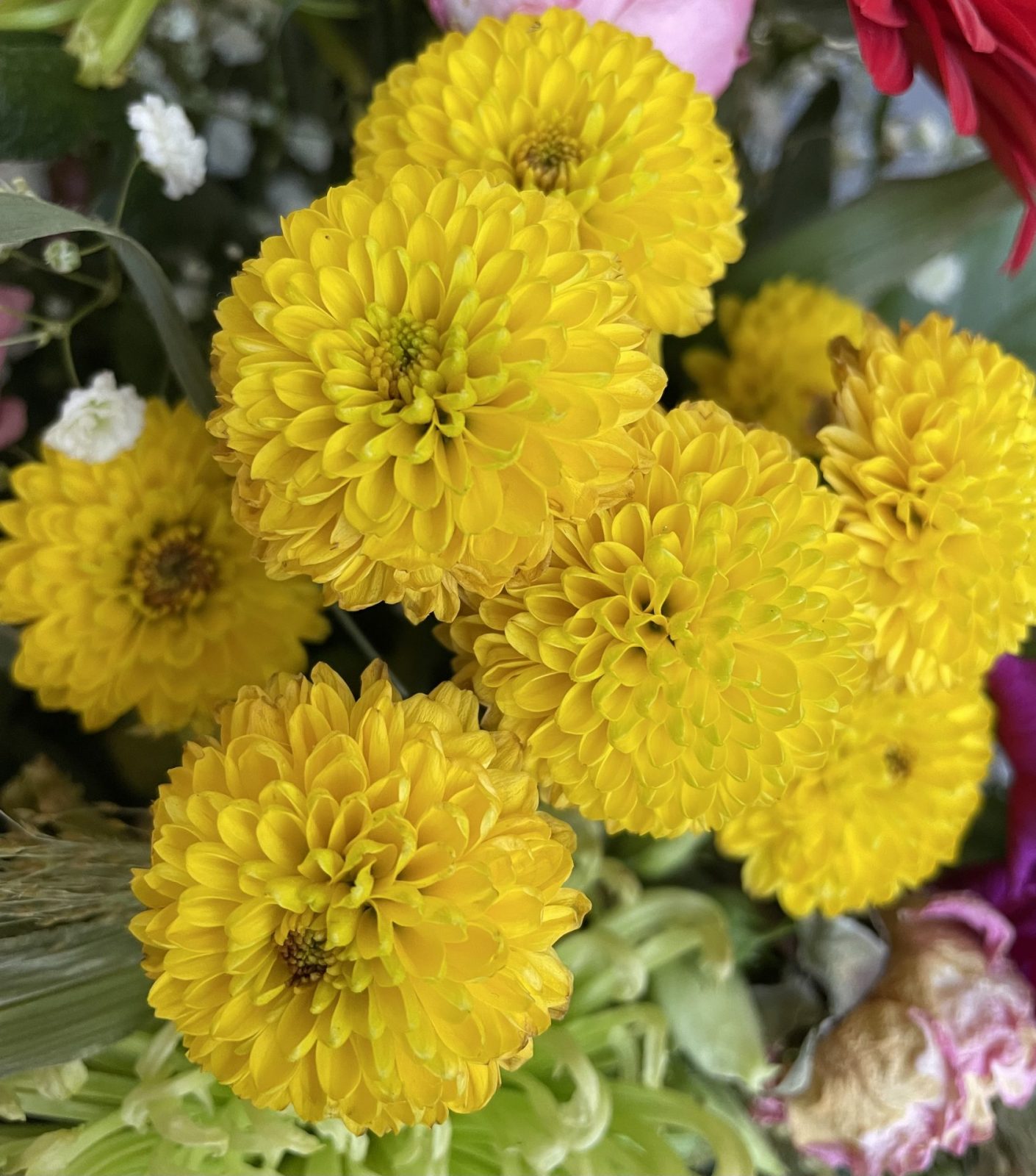 95448943-EF34-4509-8076-DC1B7C10A499