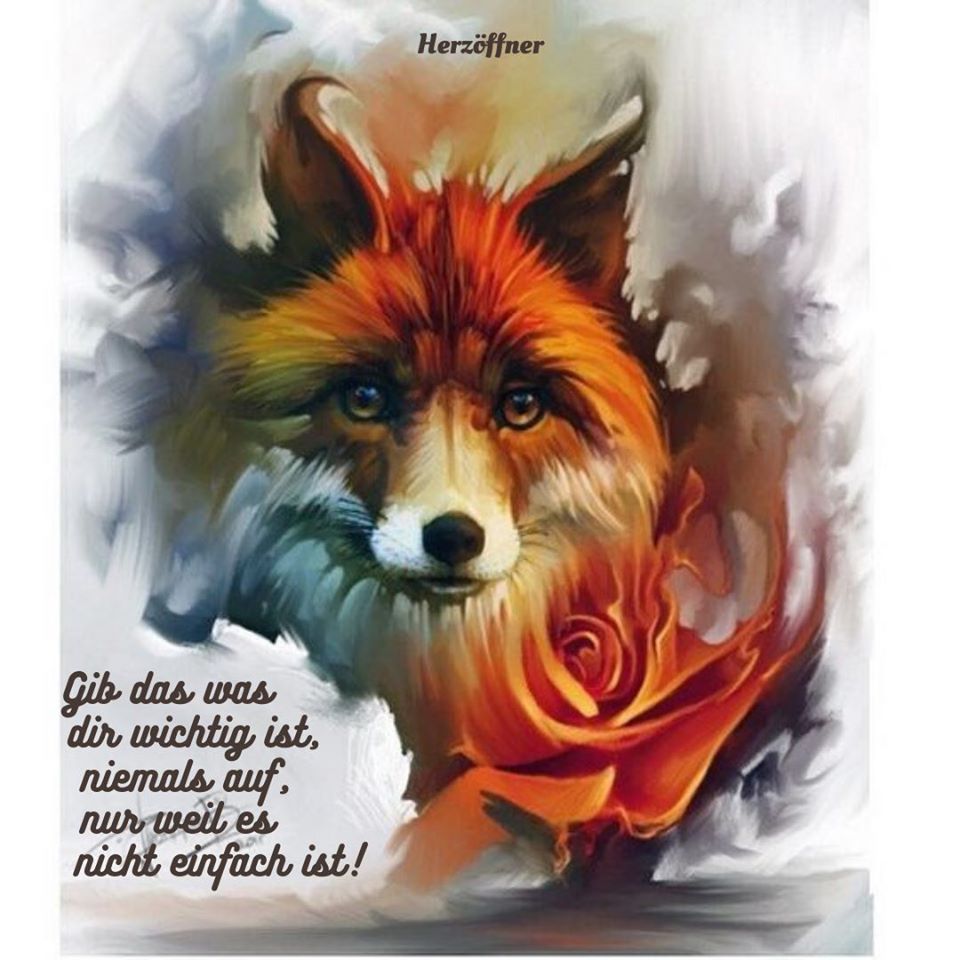 95499633_1597437180420900_482175409723539456_o