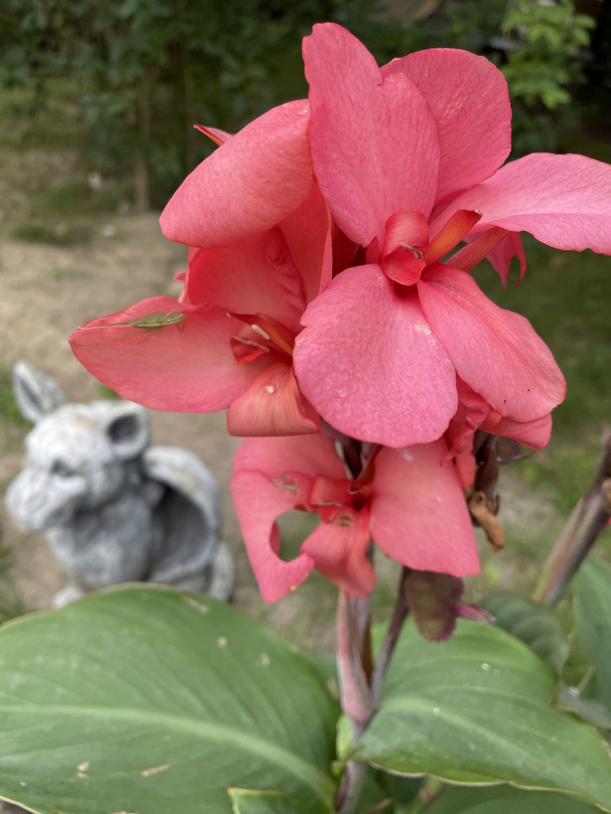 95859AAC-5142-4A84-8DB4-D31621C0D707